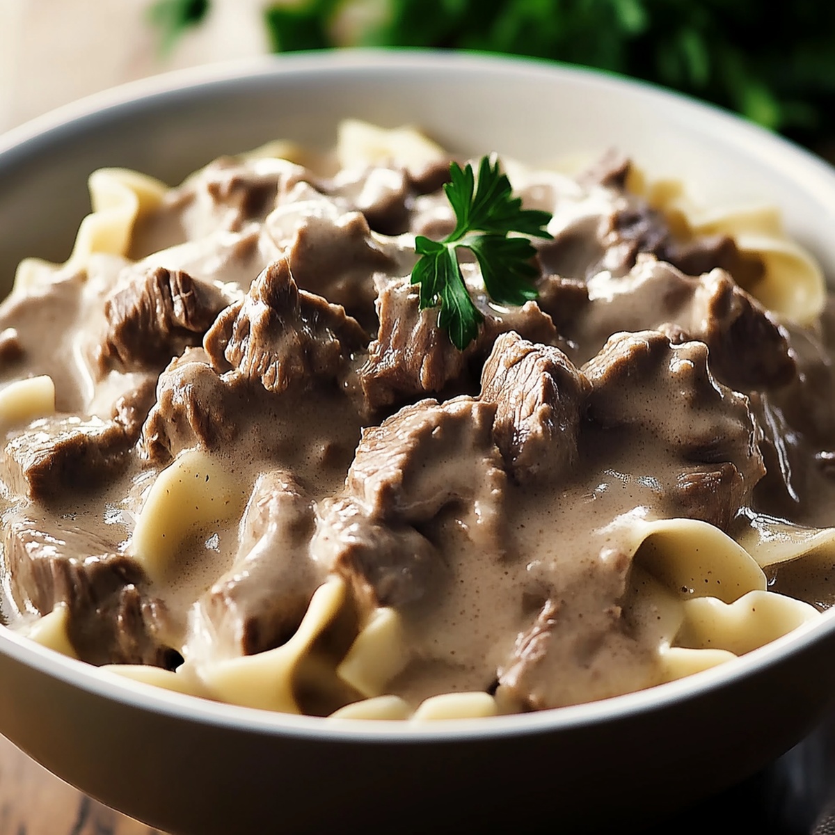 Crock Pot Beef Stroganoff Recipe
