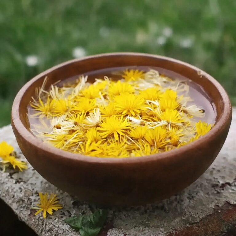 Dandelion Bitter Recipe