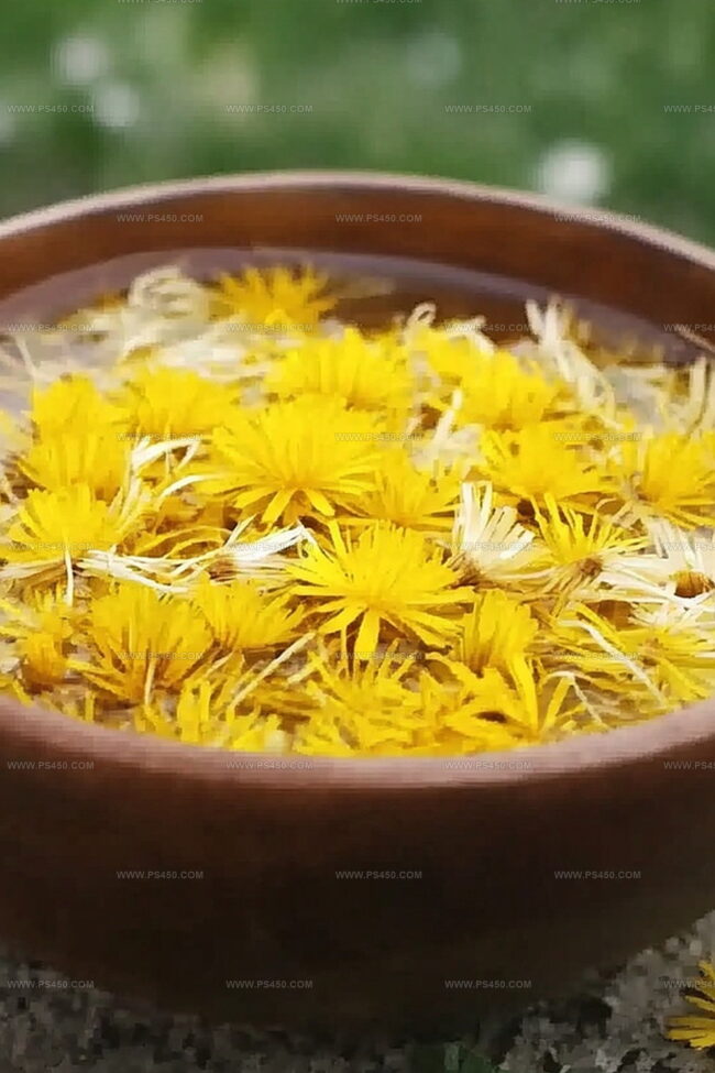 Why Dandelion Bitter Packs A Punch