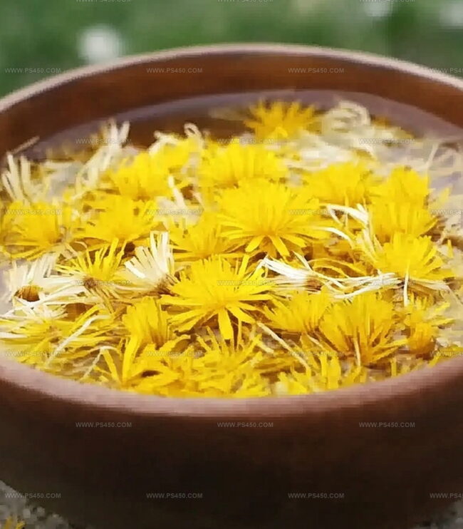 How To Make Dandelion Bitter Easily
