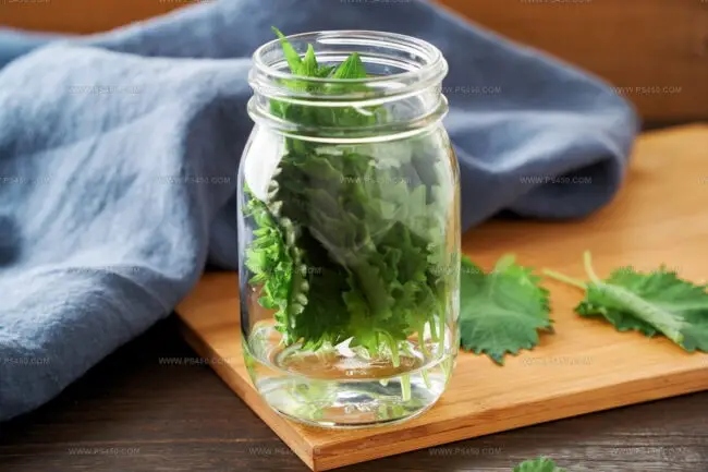 Pairing Shiso Swaps With Other Asian Ingredients
