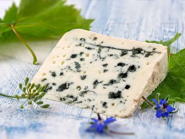 The Overview of Blue Cheese and Roquefort