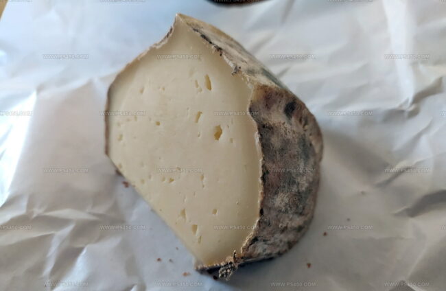 Brebis Du Lavort