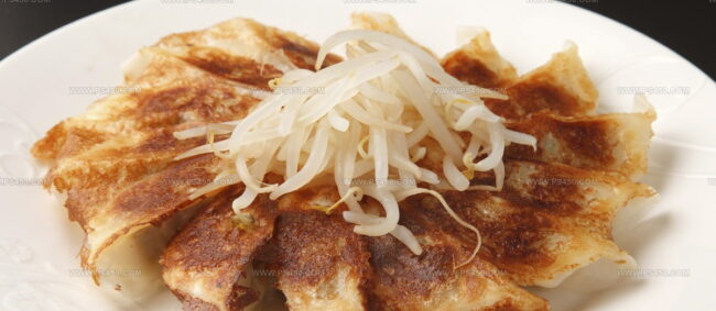Hamamatsu Gyoza