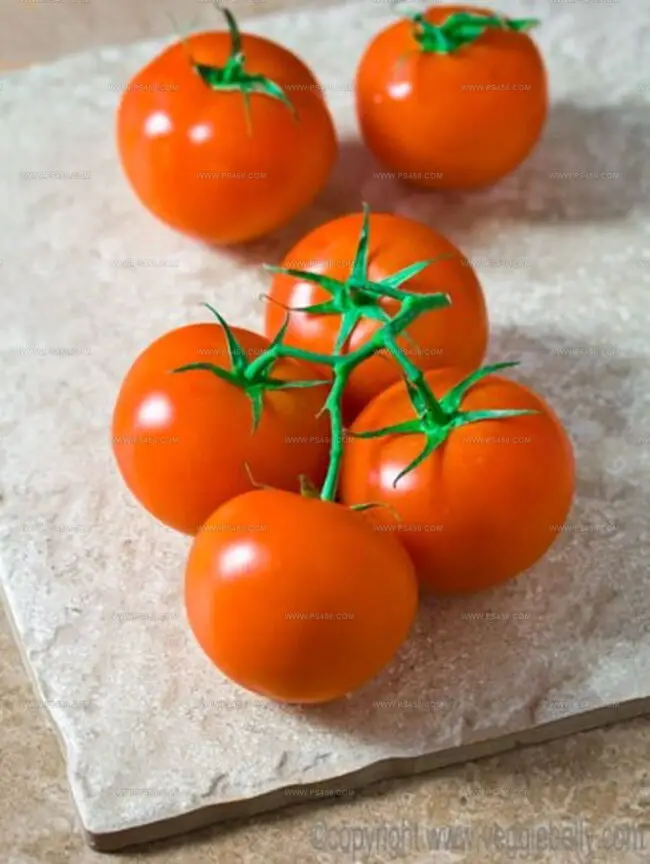 Fresh Tomatoes