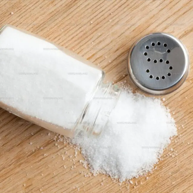 Salt and Sugar
